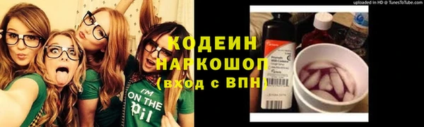 индика Мегион
