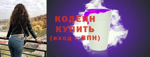 индика Мегион