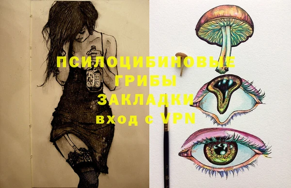 шишки Магадан