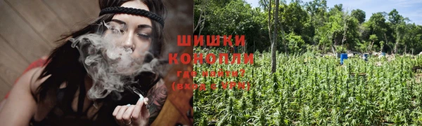 гидропоника Майский
