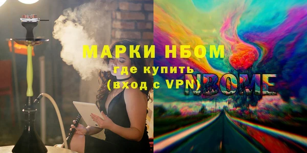 индика Мегион