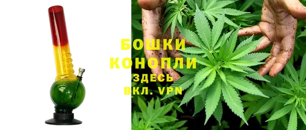 шишки Магадан